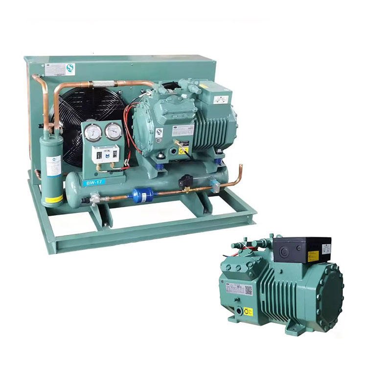 Refrigeration Compressor Low Temperature Compressor Refrigeration Device of Cold Storage Condensing Unit