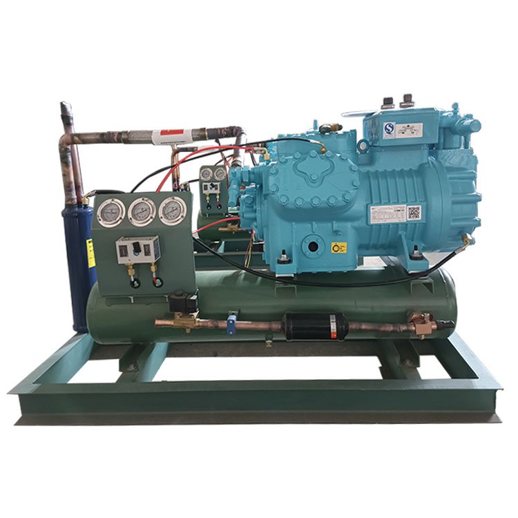 Refrigeration Compressor Low Temperature Compressor Refrigeration Device of Cold Storage Condensing Unit