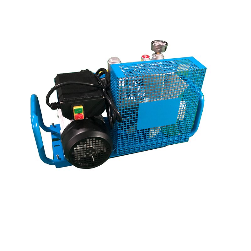 Factory Price Various Specifications 100l/Min High Pressure Mini Breathing Air Compressor for Scuba Diving