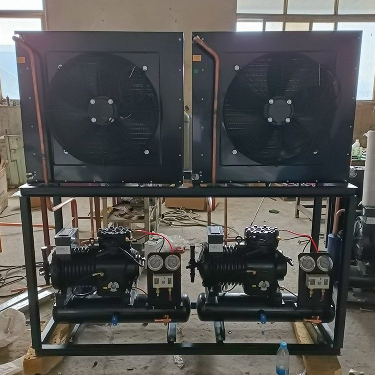 Maintain Cold Storage Temperature Air-Cooled Condensing Unit for Small to Medium Cold Storage