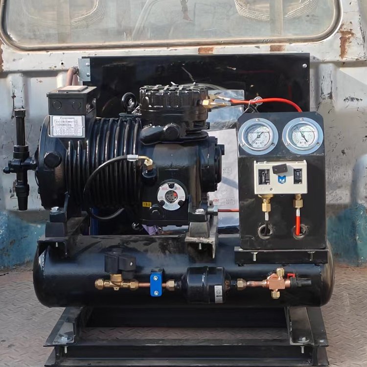 Maintain Cold Storage Temperature Air-Cooled Condensing Unit for Small to Medium Cold Storage