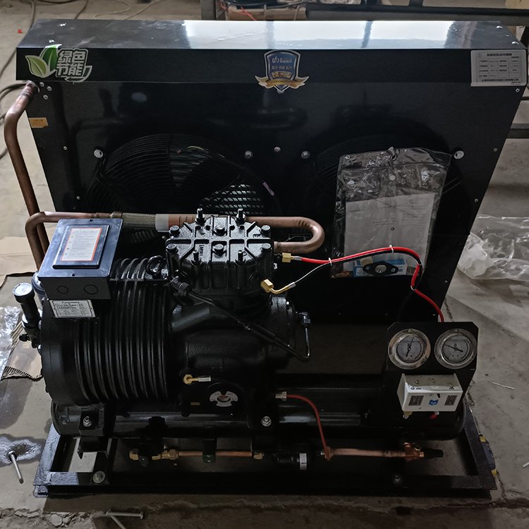 Maintain Cold Storage Temperature Air-Cooled Condensing Unit for Small to Medium Cold Storage