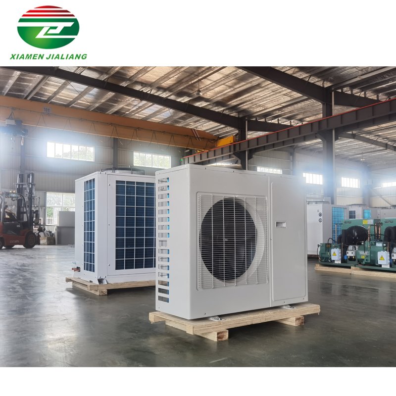 R134a 2HP 3HP Scroll Compressor Refrigerator Compressor for Cold Room