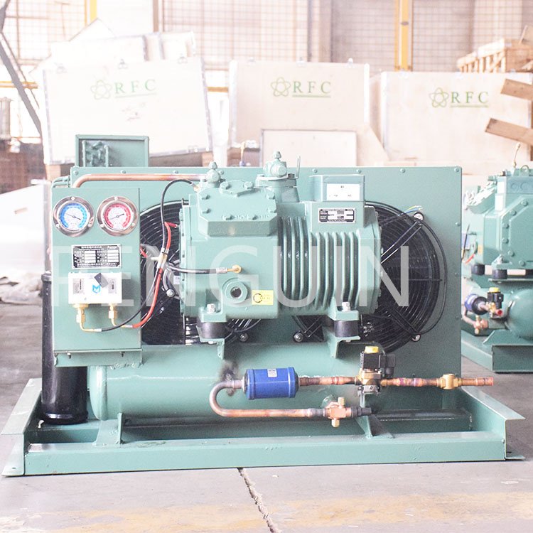 Small Cold Compressor Unit Walk in Cooler Refrigeration Mini Cold Room Single Phase Air Cooled 3hp 5hp Condensing Unit Freezer
