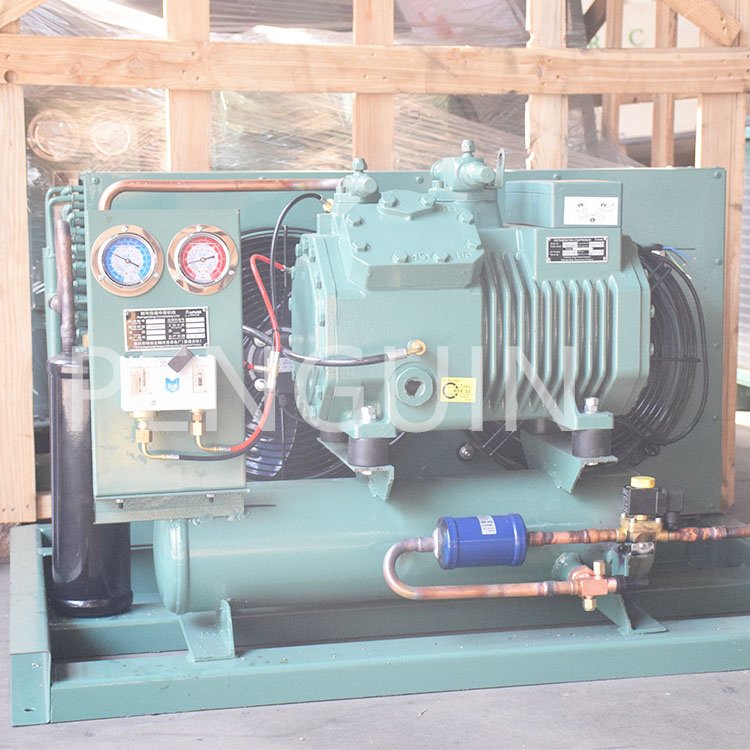 Small Cold Compressor Unit Walk in Cooler Refrigeration Mini Cold Room Single Phase Air Cooled 3hp 5hp Condensing Unit Freezer