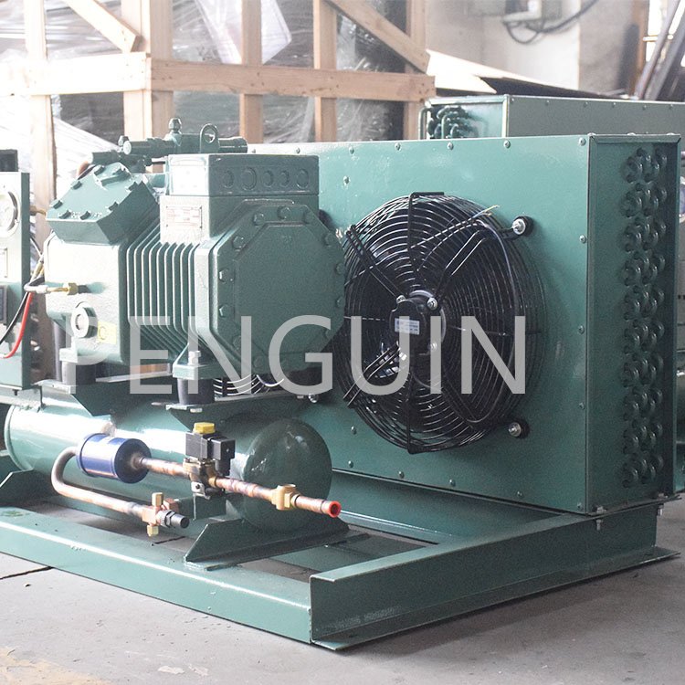 Small Cold Compressor Unit Walk in Cooler Refrigeration Mini Cold Room Single Phase Air Cooled 3hp 5hp Condensing Unit Freezer