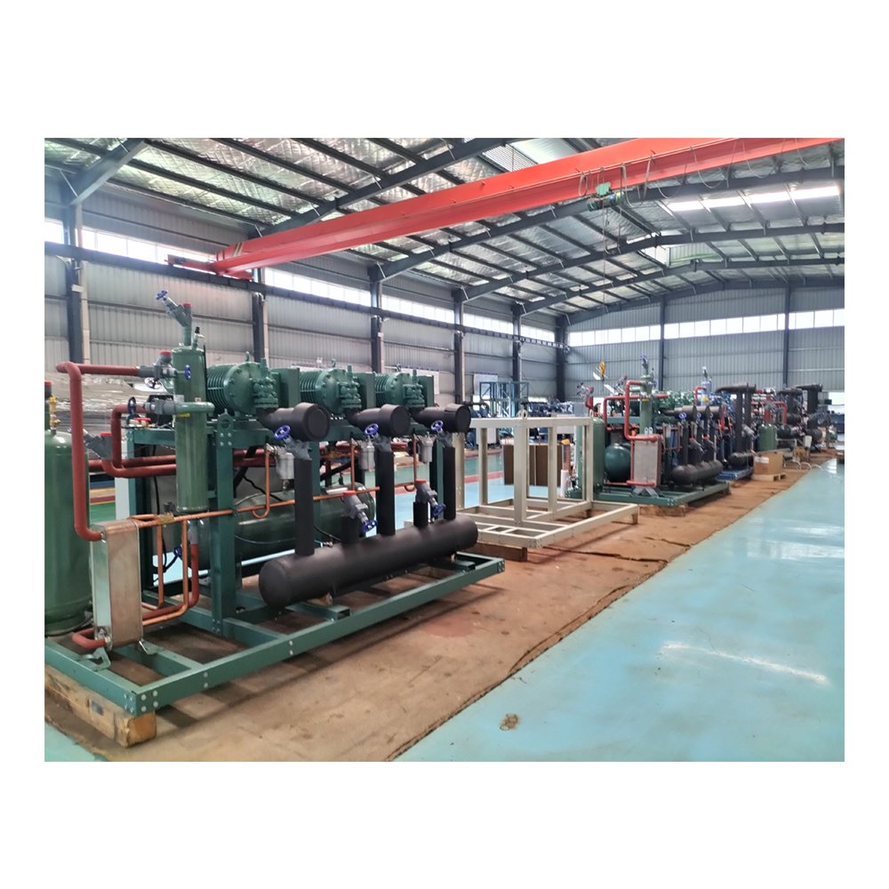 Immersion Cooling Compressor Air Water Cooling Condensing Unit Shell Heat Exchanger Screw Condensing Unit for Blast Freezer