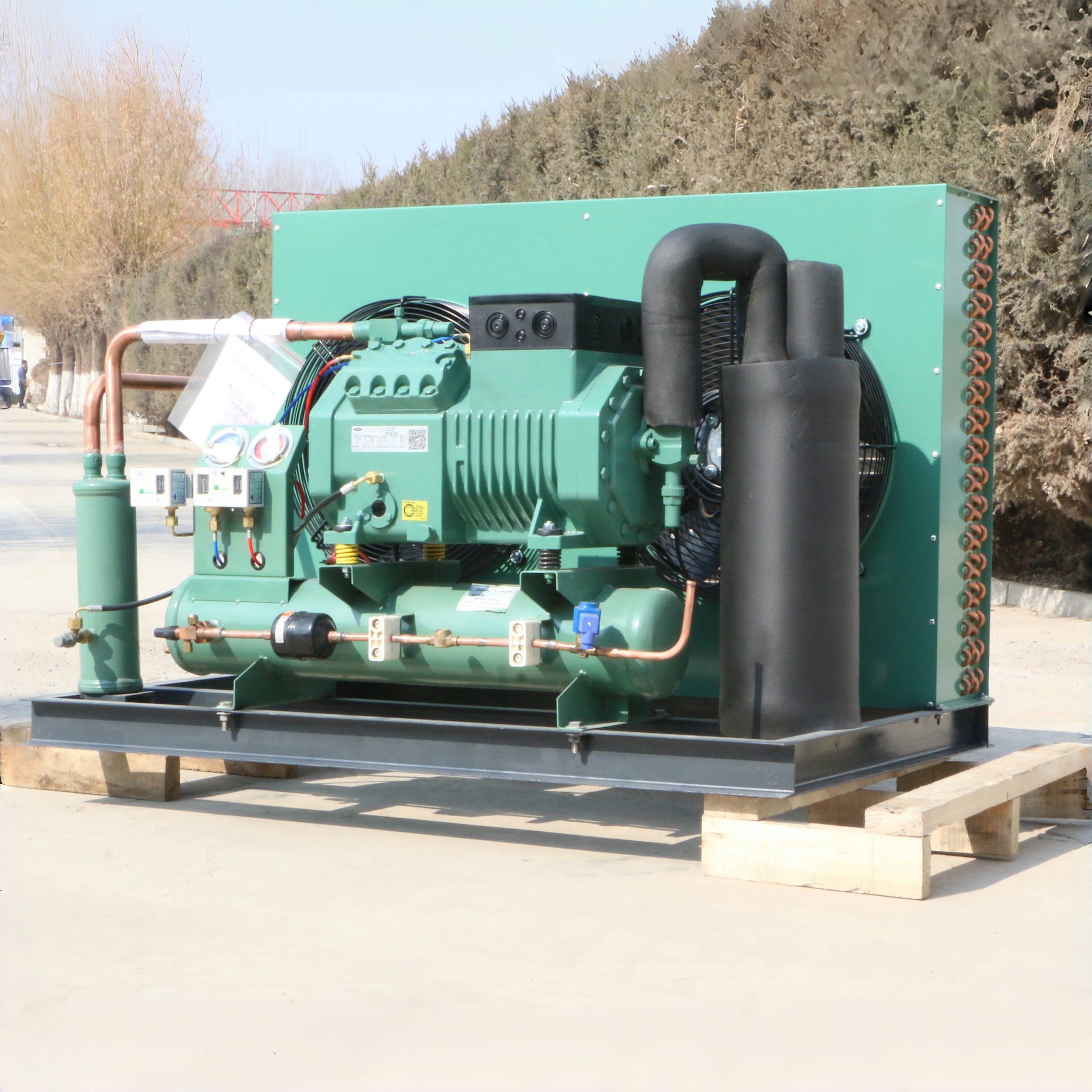 Factory 3hp 5hp 6hp 10hp 20hp Germany Air Cooled Compressor Condensing Unit for Cooling System Refrigeration