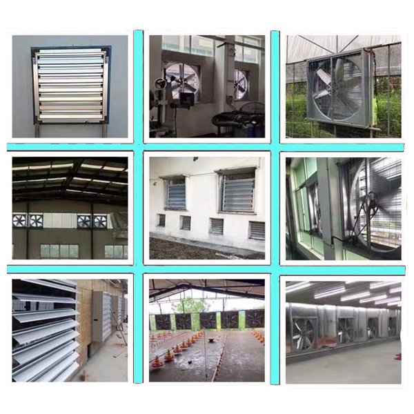 50 Inch Greenhouse Poultry Farm Fan Centrifugal Exhaust Fan Poultry Equipment for Ventilation
