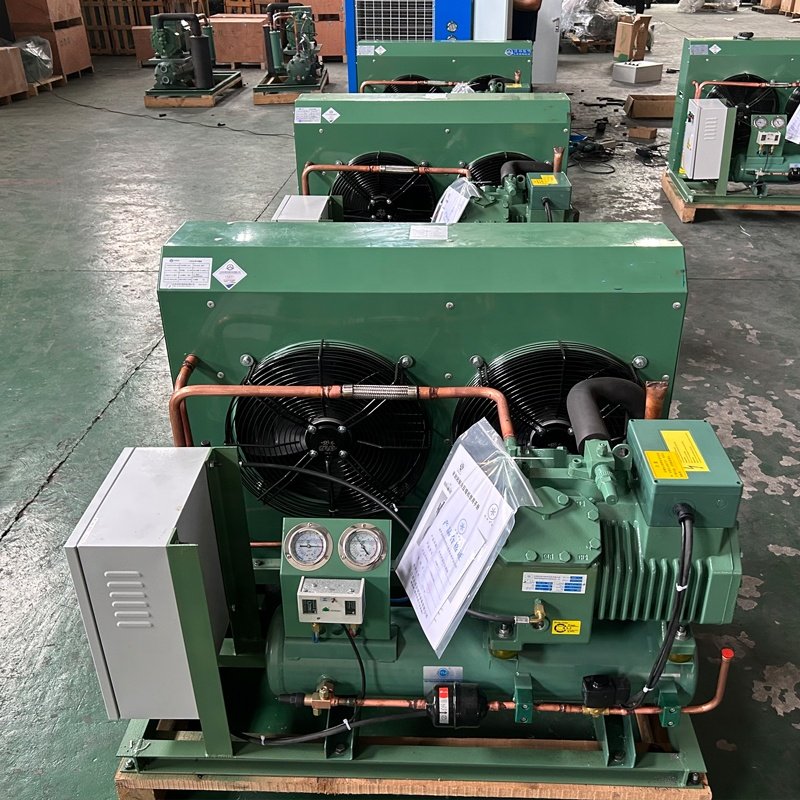 Hot Promotion 3hp 5hp 8hp 10hp Condensing Units Low Temperature Air-cooled Condensing Unit