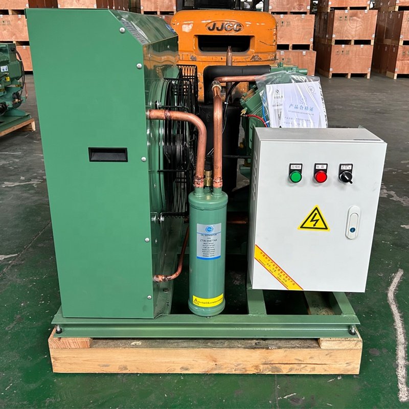 Hot Promotion 3hp 5hp 8hp 10hp Condensing Units Low Temperature Air-cooled Condensing Unit