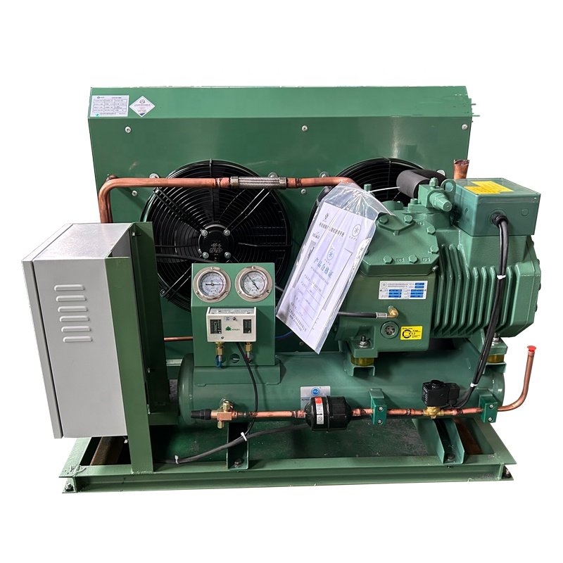 Hot Promotion 3hp 5hp 8hp 10hp Condensing Units Low Temperature Air-cooled Condensing Unit