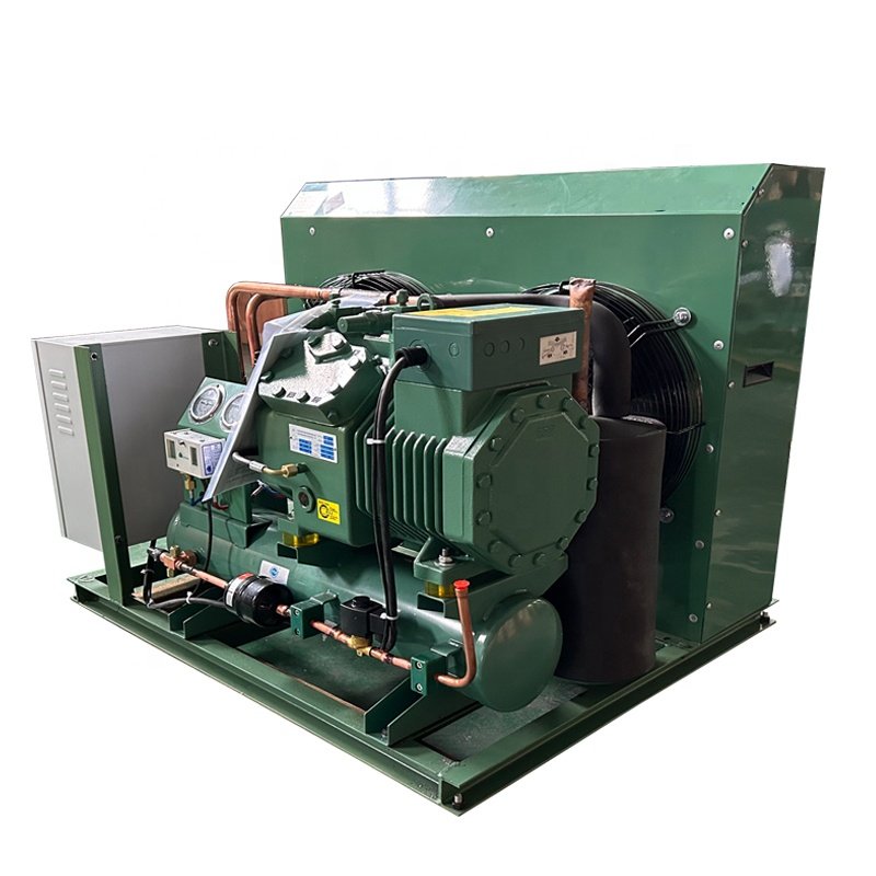 Hot Promotion 3hp 5hp 8hp 10hp Condensing Units Low Temperature Air-cooled Condensing Unit