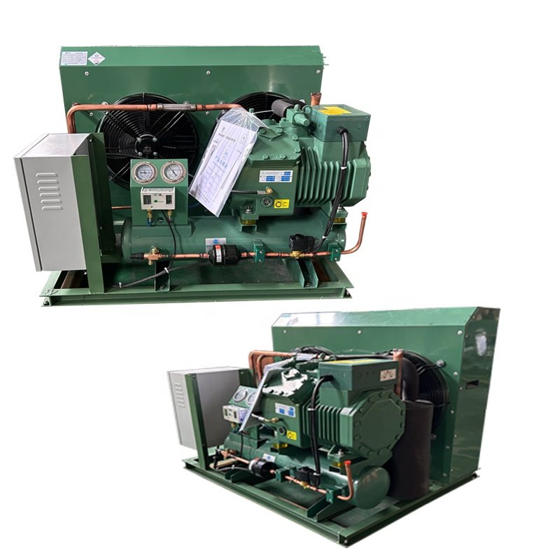 Hot Promotion 3hp 5hp 8hp 10hp Condensing Units Low Temperature Air-cooled Condensing Unit
