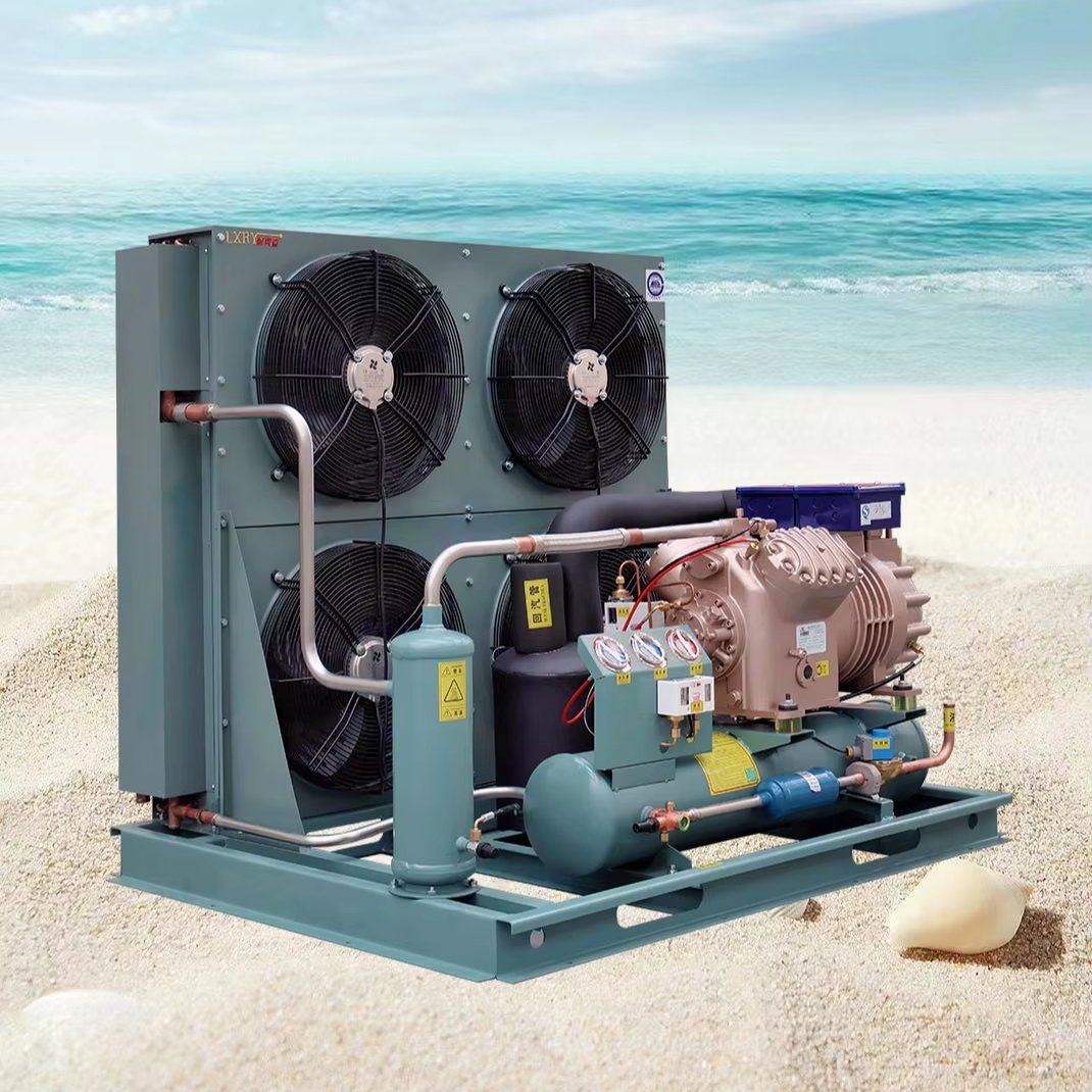 LXRY Cold Storage Open Type Piston Air-cooled Condensing Unit Support Customization Freezing Equipment Energy Saving Gas 404a