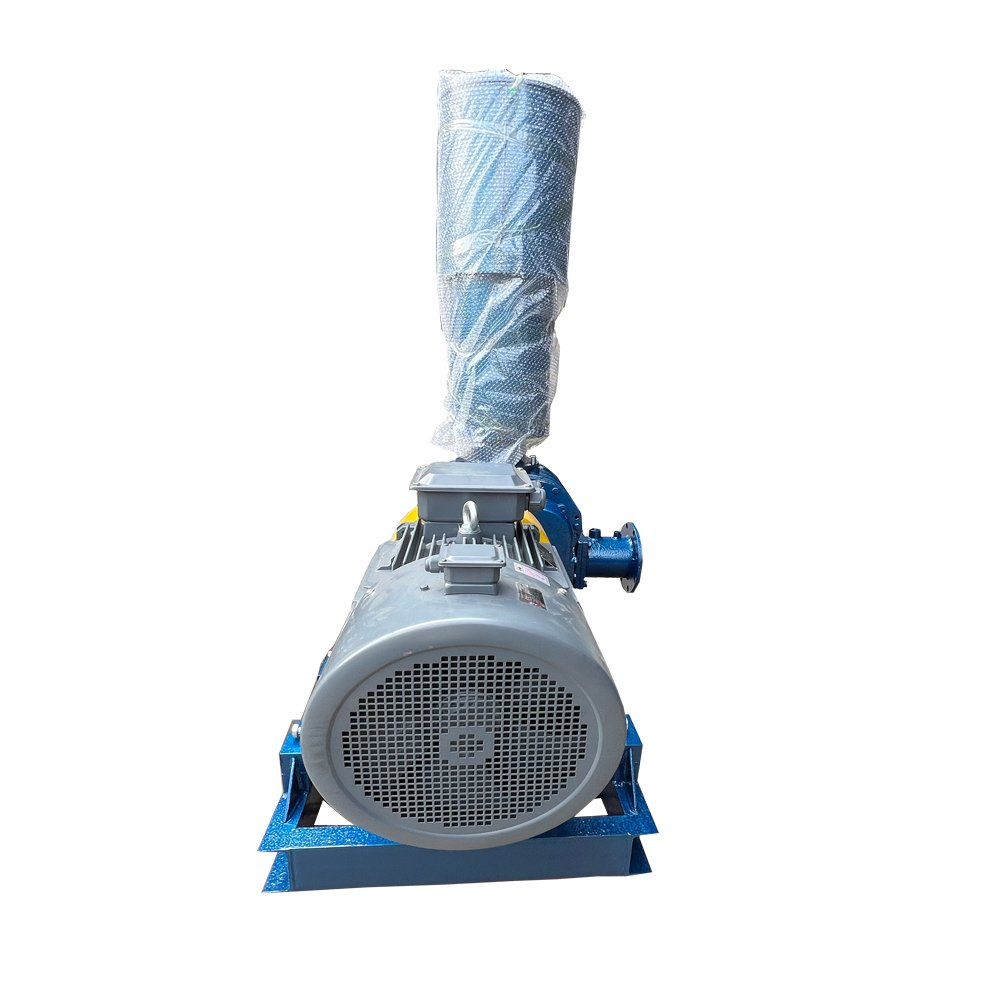 Roots Aerator Air Blower Bearing air Blower Pump Equipment Vacuum Roots Blower for Fish Pond