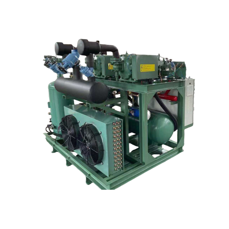 Hot Selling Weiger Refrigeration Condensing Unit Blast Freezer Air Cooled Semi Hermetic Compressor with Core Motor for Cold Room