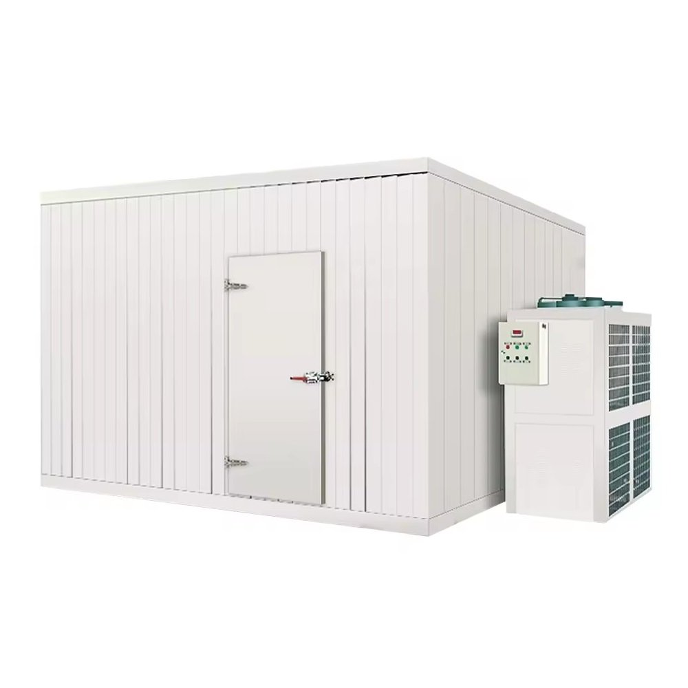 Commercial Shock Fast Freezer Refrigeration Machine Air Blast Freezer Cold Room for Fish Chicken