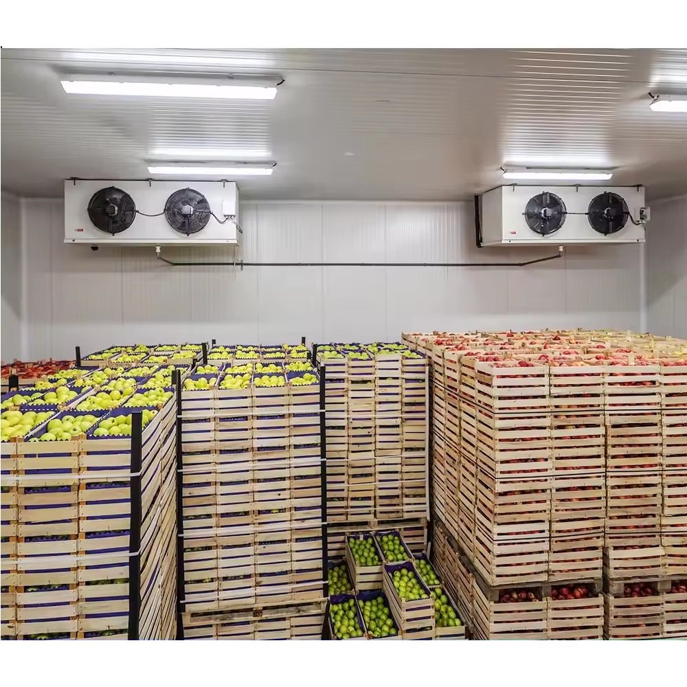Commercial Shock Fast Freezer Refrigeration Machine Air Blast Freezer Cold Room for Fish Chicken