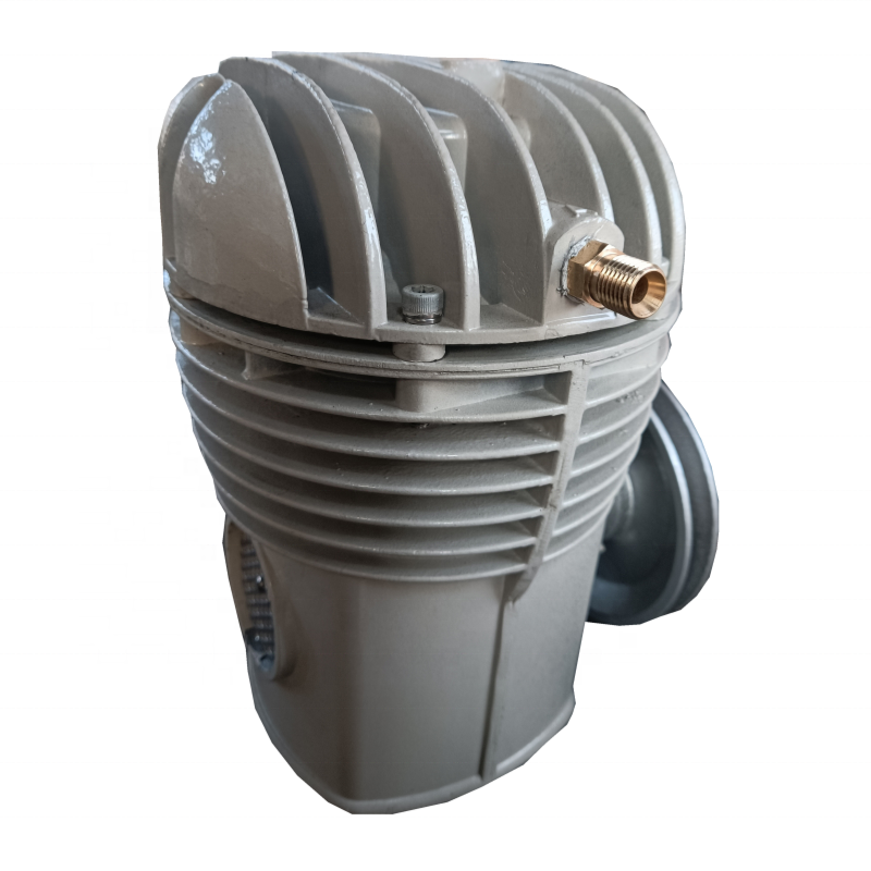 Breathing Machine Oil Free air Compressor Motor Gasoline air Compressor for Sale