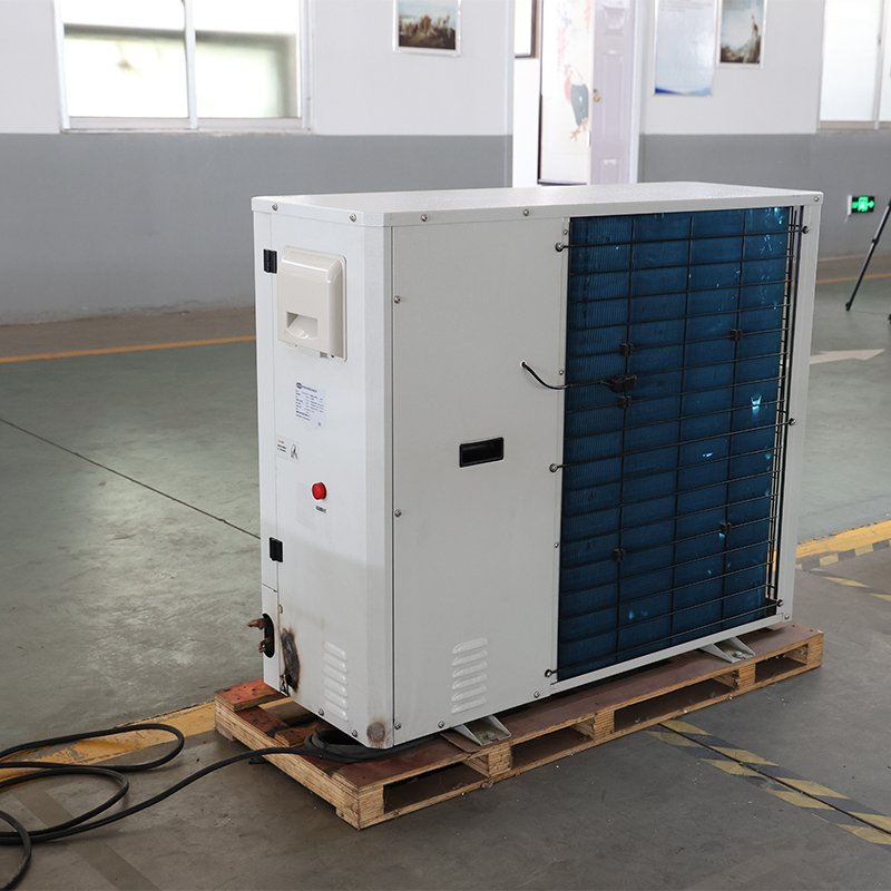 Cold Storage Unit High-Performance Air-Cooled Condensing Energy Saving Remote Controlled