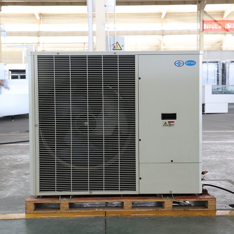 Cold Storage Unit High-Performance Air-Cooled Condensing Energy Saving Remote Controlled
