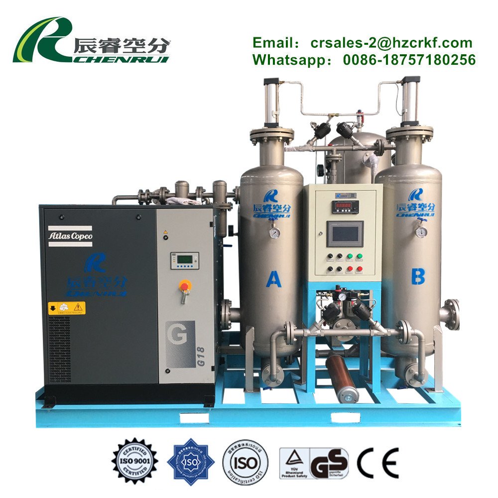 CHENRUI Capacity 5-3000Nm3/h China Nitrogen Generator Nitrogen Generator for Tire Gasing Chemical psa Nitrogen Generator