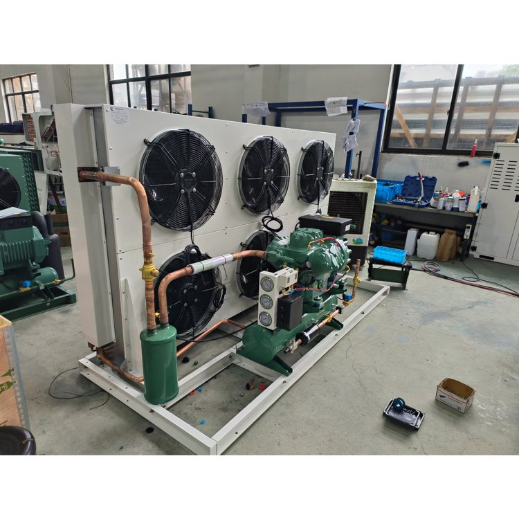 EMTH 3HP Low Temperature Condensing Units Cold Storage Air Condenser Walk in Freezer Units Cooler