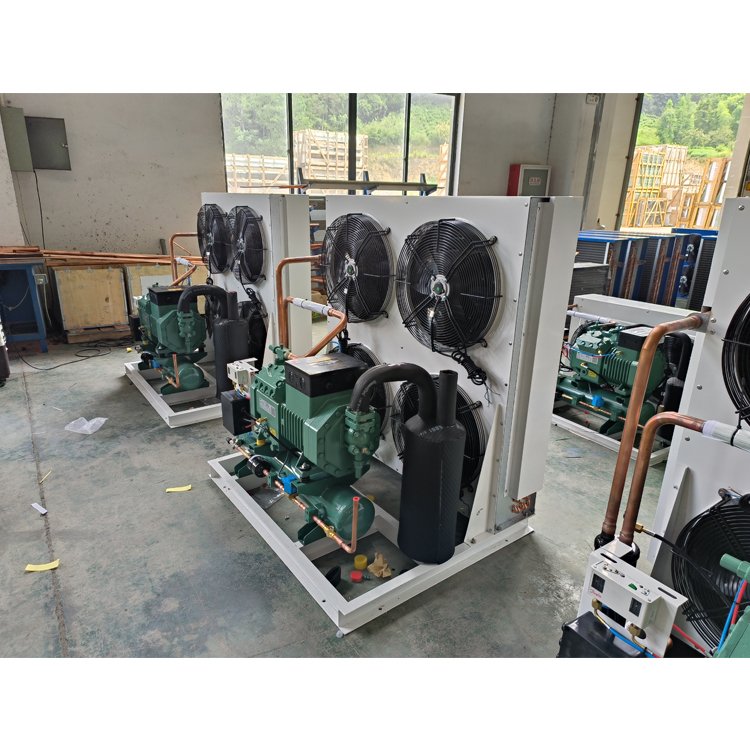 EMTH 3HP Low Temperature Condensing Units Cold Storage Air Condenser Walk in Freezer Units Cooler