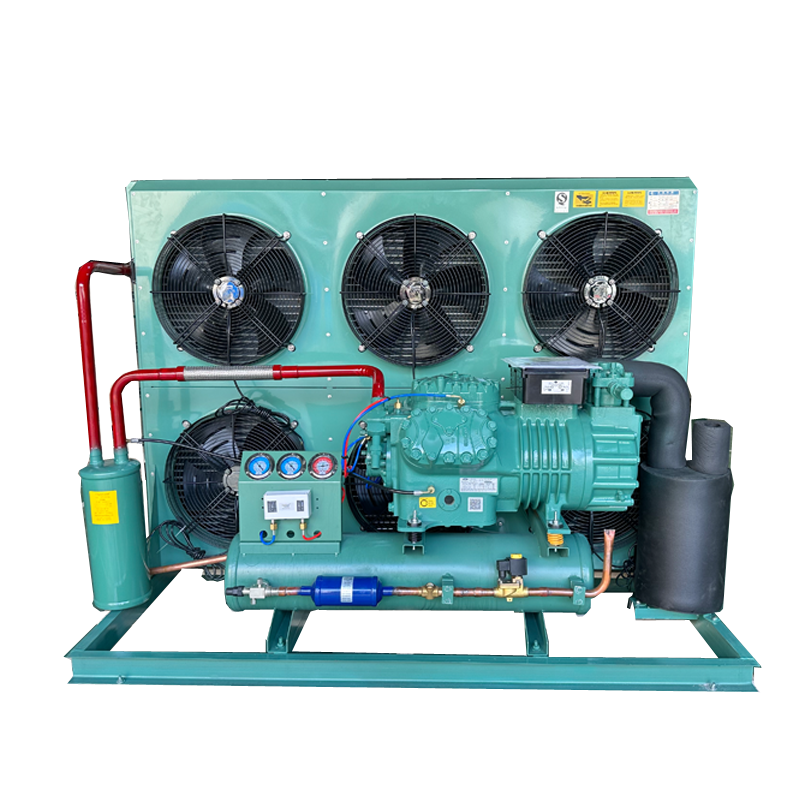 25 hp Cold Room Storage High Performance Compressor Low Temperature -20 Degree -30 Degree Air Cooled Condensing Unit