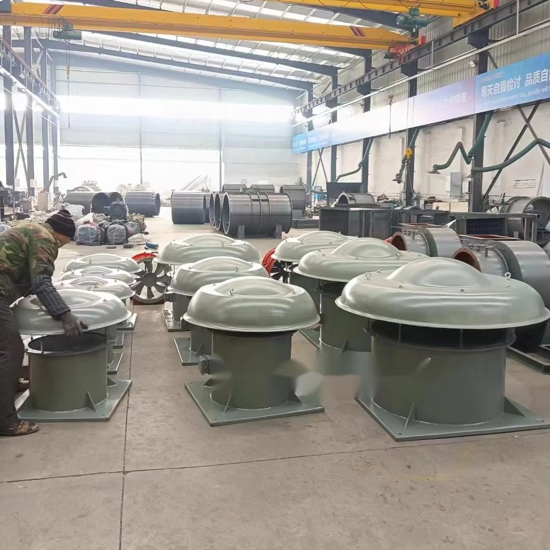 Anti-corrosion and Explosion-proof FRP Carbon Steel Roof Fan