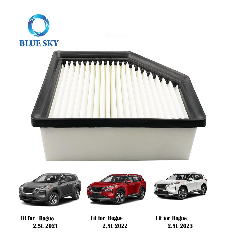 16546-6RA0A Car Engine Air Filter for 2021 2022 2023 Nissans Rogue SL SV 2.5L Cabin Air Filters Car Air Conditioning Filter