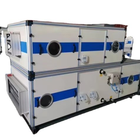 Direct Expansion Air Purification & Conditioning Unit From Congo Brazzaville with DC Fan Motors
