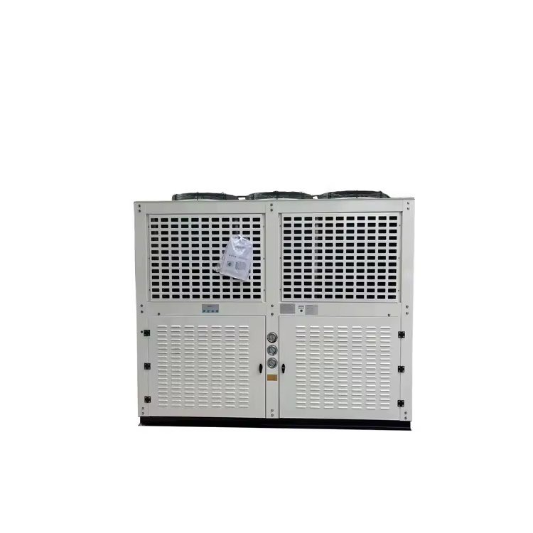Top Discharge Refrigeration Unverter V Type Hvac Air Box Cryo House Boat Condensing Unit With Evaporator