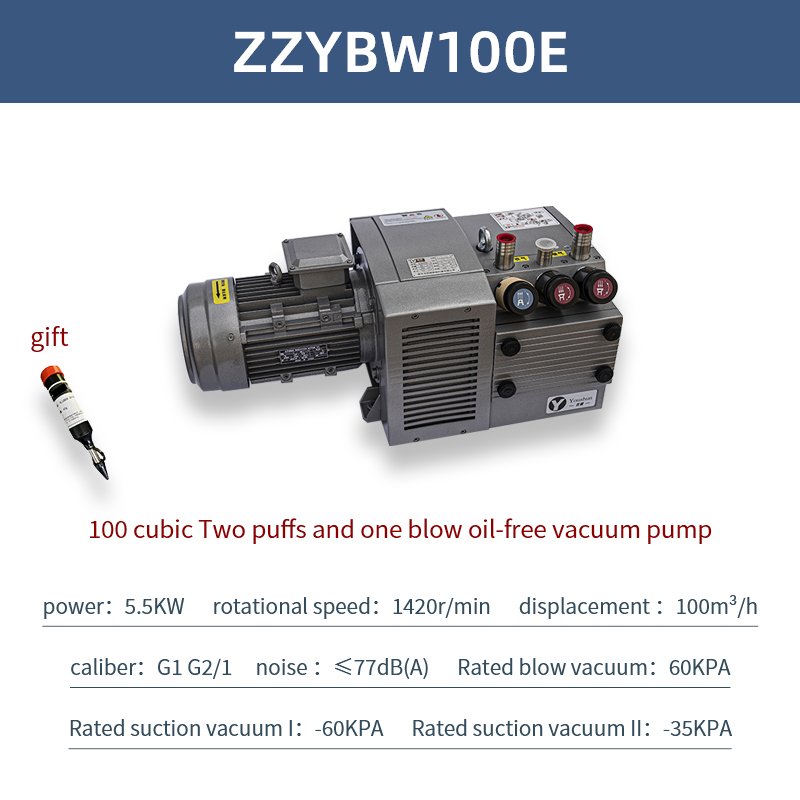 DVT ZYBW Dry Rotary Vane Vacuum Pump 100 Cubic Meters Per Hour 5.5KW Customizable Printing Press air Pump Industrial Vacuum Pump
