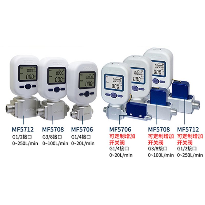 Air Mass Flow Meter Wireless Valve Control LoRa or Wifi Stand-Alone Version Software 0-250SLPM