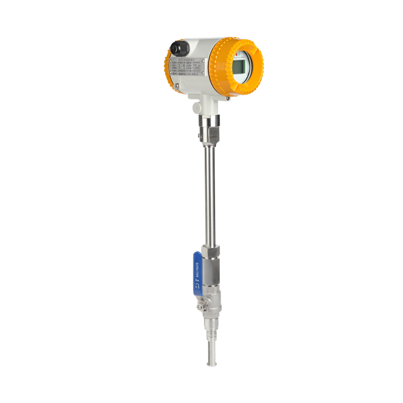 Gas Flow Meter for Natural Gas Hydrogen Oxygen Nitrogen Compressed with RS485 4-20mA Thermal Mass Flowmeter