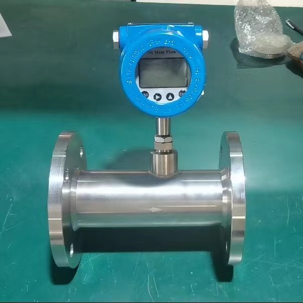 SS304 PN16 DN50 mm 2 Inch CO2 Oxygen Gas Meter Compressed Air Biogas Thermal Mass Gas Flow Meter for Sale