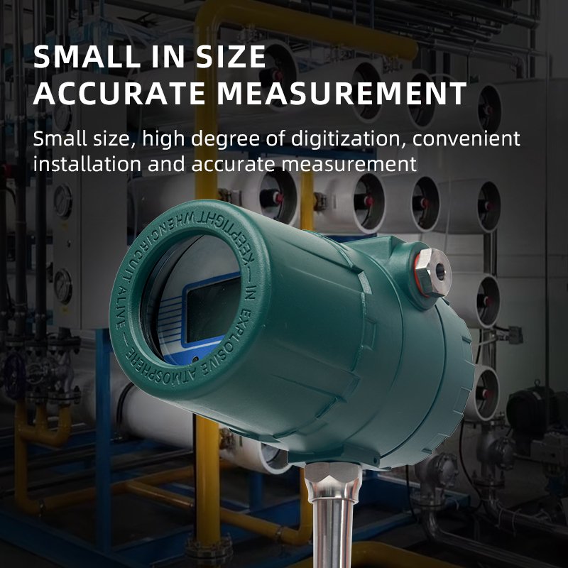 Compressed air Natural Gas Oxygen Nitrogen Mass Flow Meter 4-20mA Thermal Gas Mass Flowmeter