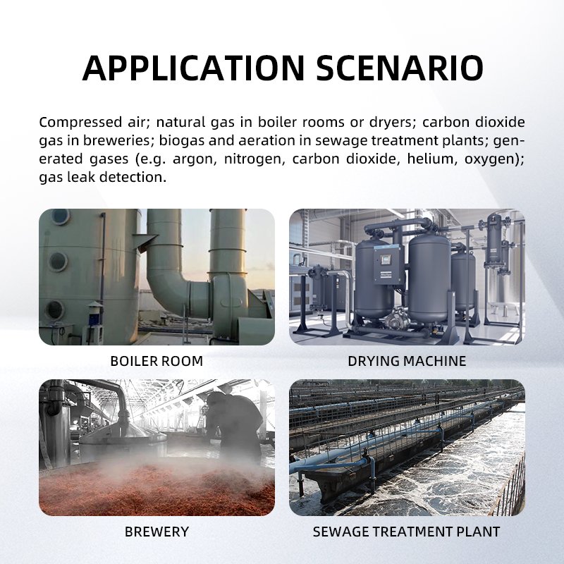 Compressed air Natural Gas Oxygen Nitrogen Mass Flow Meter 4-20mA Thermal Gas Mass Flowmeter
