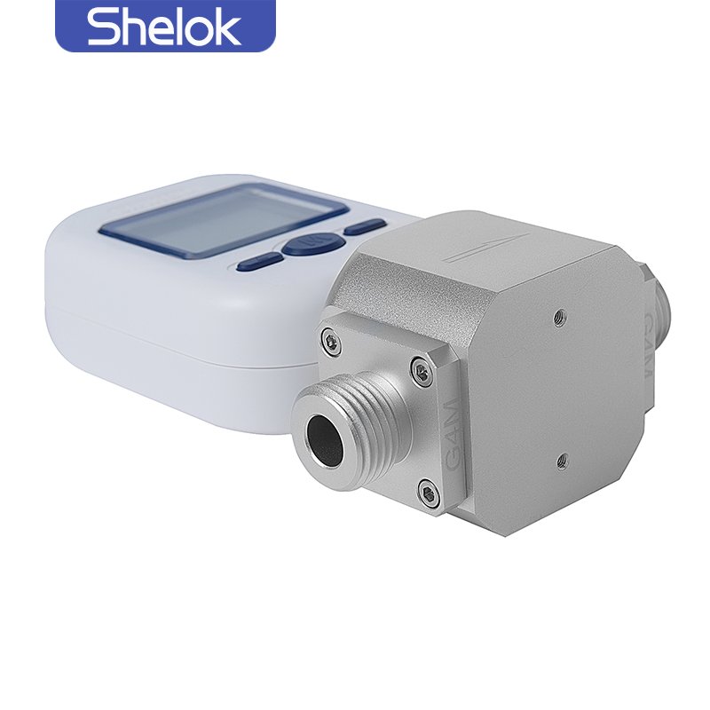 Shelok Mf5700 Portable Air Compressed Gas Hydrogen Micro Digital 4-20Ma Air Mass Flow Sensor Meter