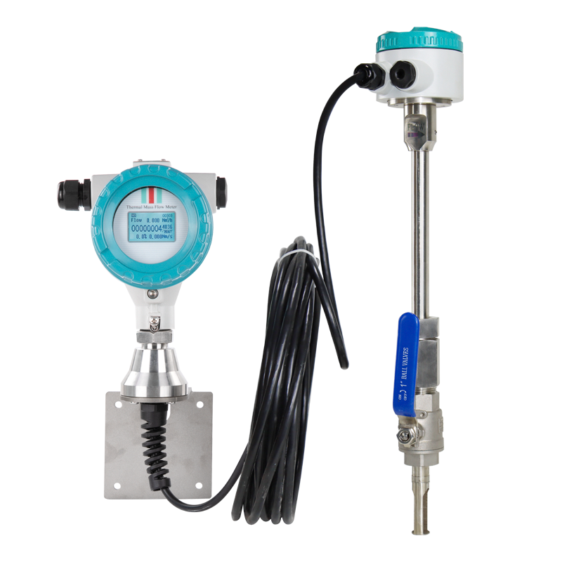 ATEX Philemon High Quality Air Flow Meter CE Insertion EXD T6 Thermal Mass Gas Flow Meter