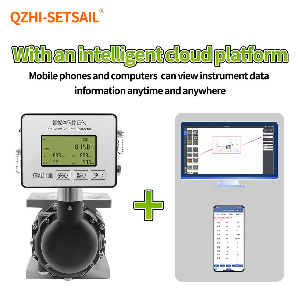 Temperature and Pressure Compensation Gas Flowmeter CH4 Na Tural Gas Methane Gas Roots Flow Meter Intelligent LCD Display