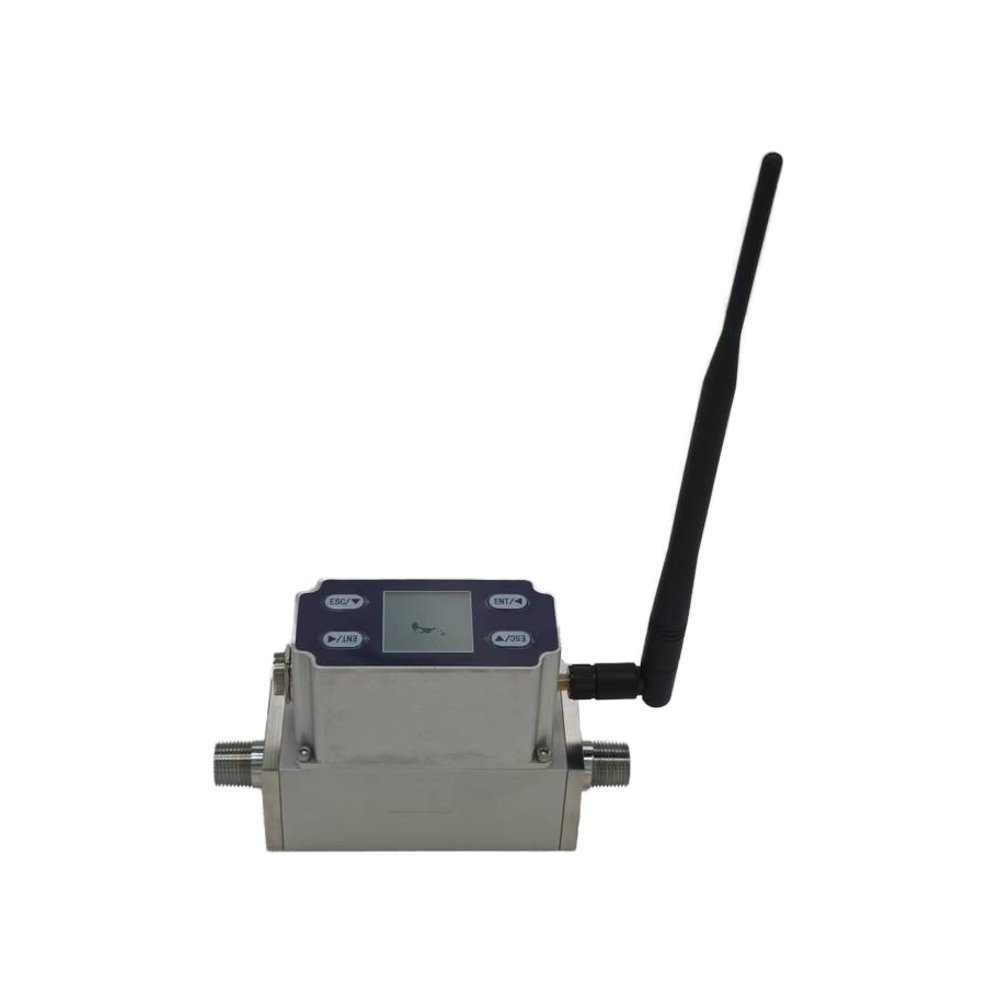 Micro Thermal Gas Mass Flow Meter Nitrogen Oxygen Compressed Air Methane Hydrogen Series DN10 15 20 OEM with 4G LoRa Iot