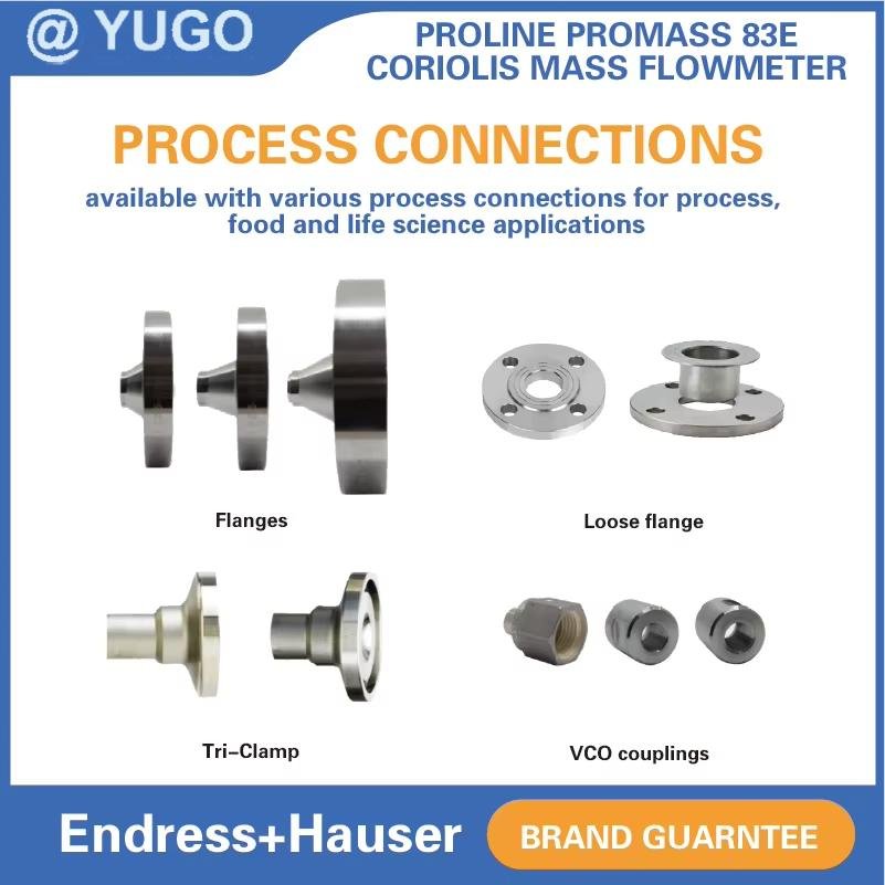 OEM Endress+Hauser 80E15 83E15 High Precision Coriolis Mass Flowmeter for Liquid Gas Slurry High Viscosity Fluid and so on