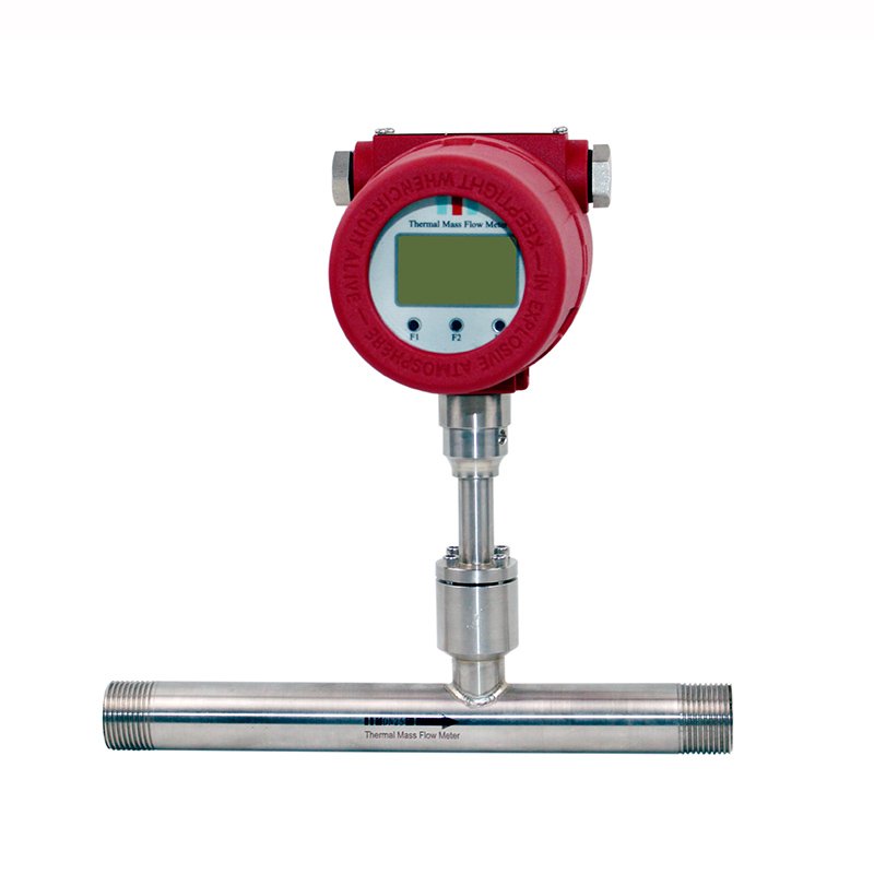 Sensitive Measure 0.1-100nm/S Velocity Range Compress Air Flowmeter Thermal Gas Mass Flow Meter