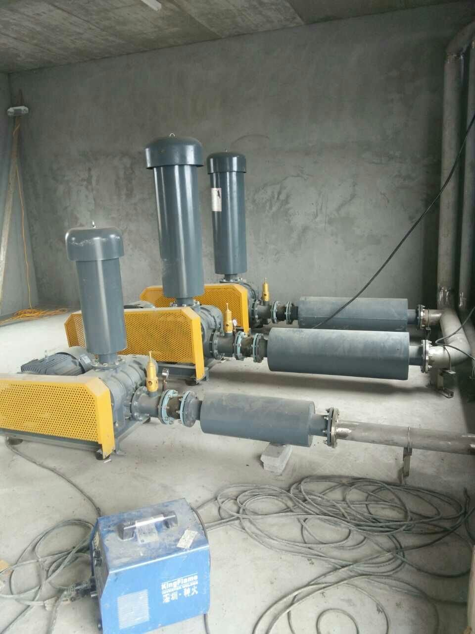 High Efficiency RZ-50 Roots Blower for Pond Fish Farm Big Air Flow Three Lobe Cast Iron Blades Electric AC OEM Customizable