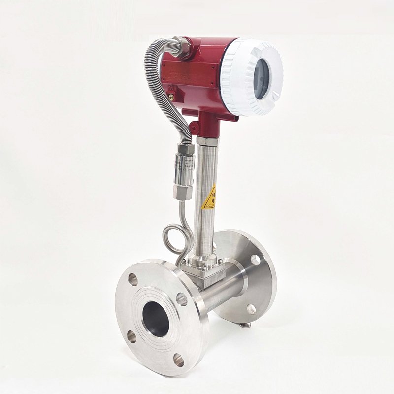 Hot Sale 3 Inch 4~20mA RS485 Output Liquid Gas Steam Vortex Flow Meter for Compressed Air Measuring