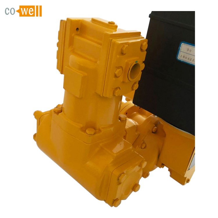 2 Inch Oval Gear Mechanical Flow Meter for Lpg, Diesel, Water M-50H-1