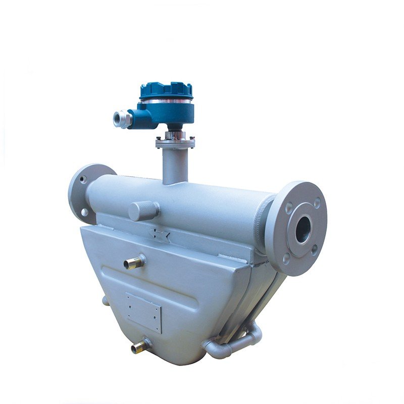 Chinese OEM Flowmeters 4-20mA EX Type Coriolis Mass Flowmeters for Liquid Gas LPG Flowmeters
